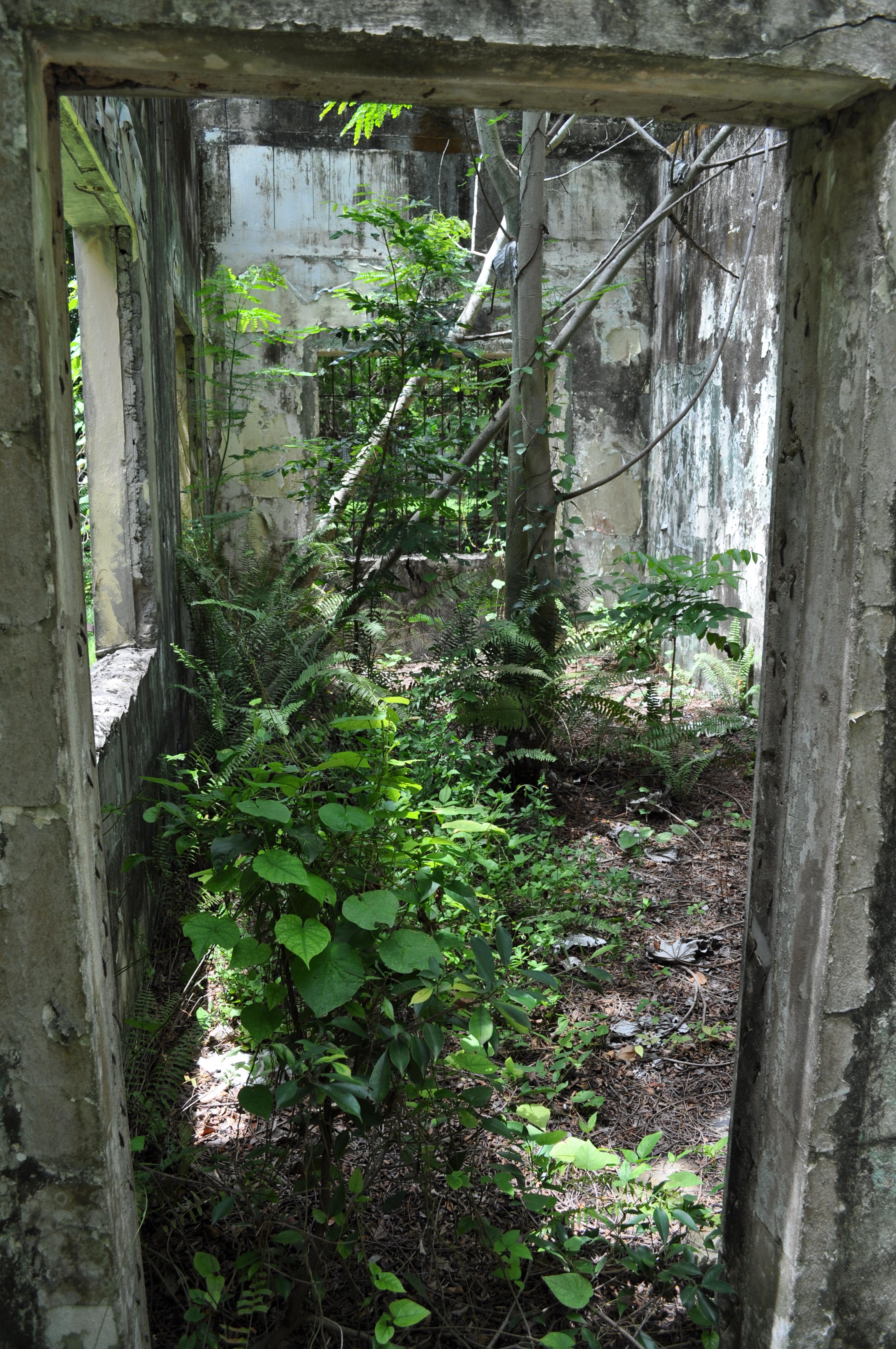 Antigua Lechería y Residencia de la Facultad de la Universidad de Puerto Rico - San Juan (Río Piedras) - 2015 00015